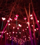 D5D122B0-12FE-43A7-B819-C89EA59B59FF