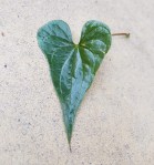 D4843023-EF1C-4F5B-BBAF-1EFCEB930DDE